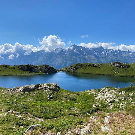 Chalet La Perle De L'Oisans - Appartements D'Exception 瓦约尼 外观 照片